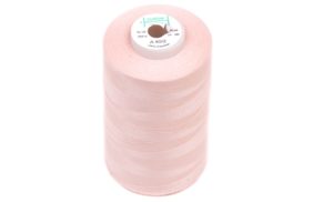 нитки швейные 100% pe 40/2 цв 1101 розовый грязный (боб 5000м) euron купить по 138 - в интернет - магазине Веллтекс | Набережные Челны
.