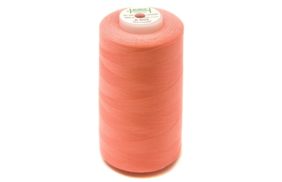 нитки швейные 100% pe 40/2 цв 1105 розовый персиковый (боб 5000м) euron купить по 138 - в интернет - магазине Веллтекс | Набережные Челны
.
